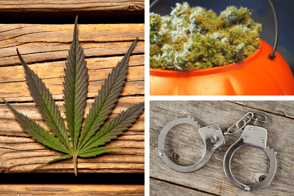 Consumo propio o tráfico de drogas